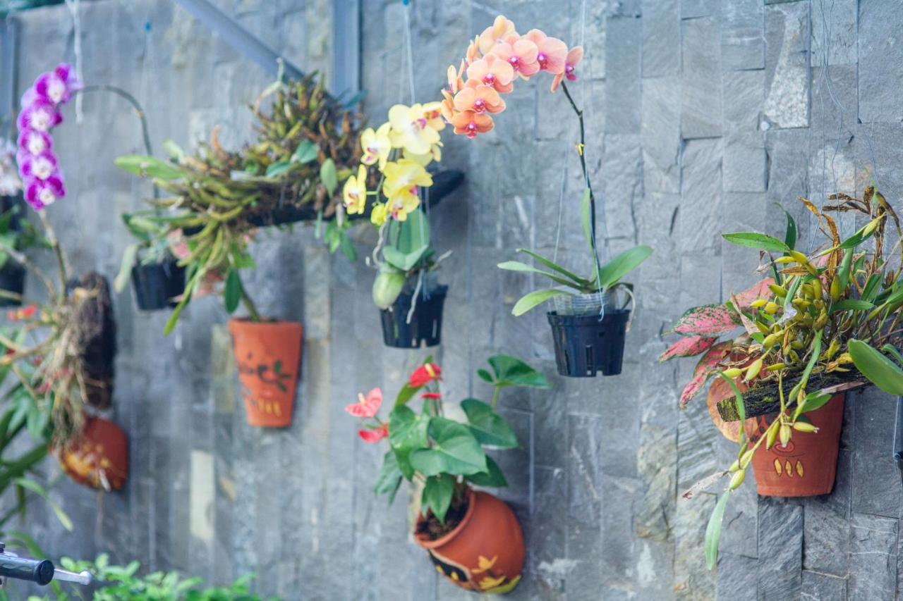 Flower Apartment Da Nang Buitenkant foto